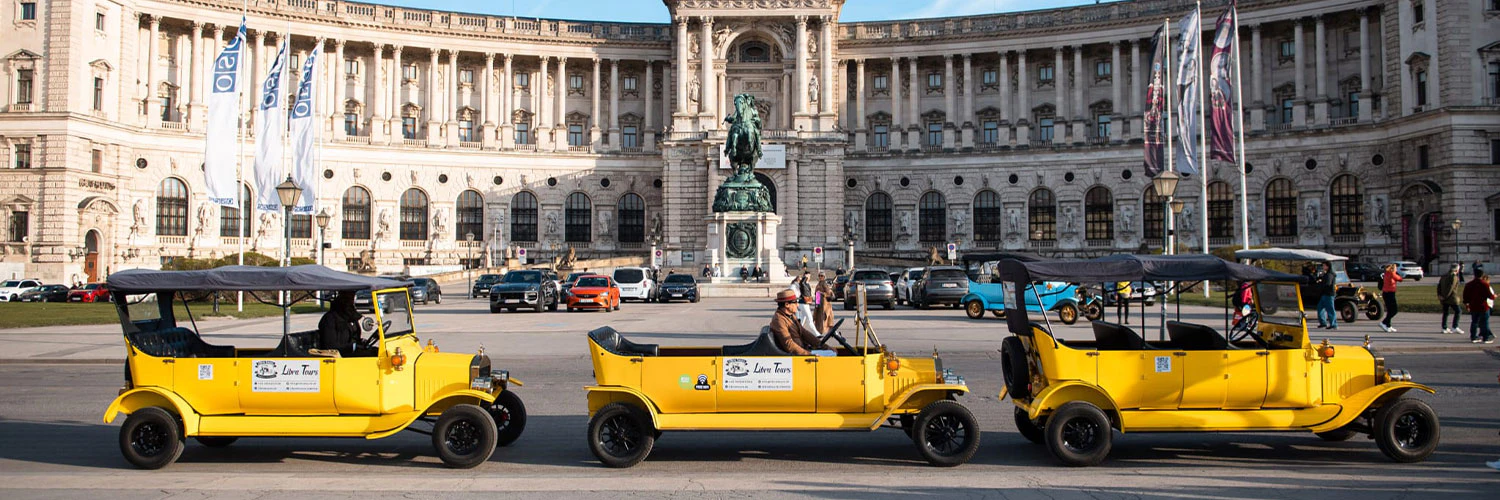 Premium Vienna tour